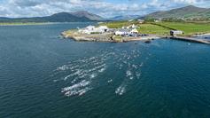 Valentia Island Sprint triathlon 2024