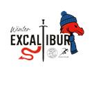 Winter Excalibur