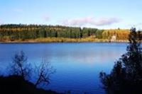 Llyn Alwen Trail and Canicross 2025