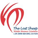 Lost Sheep 2026